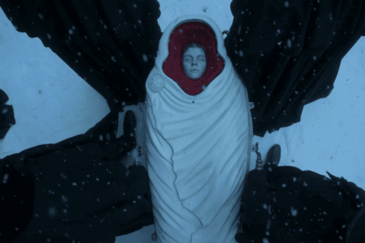 Estrutura narrativa na análise de Frankenstein Del Toro visual.