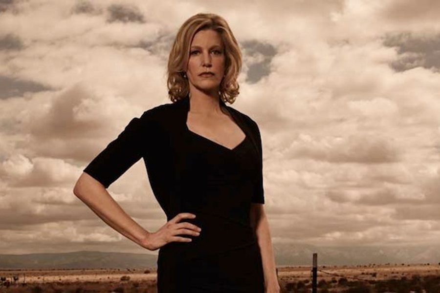 beyerstein doyle breaking bad skyler white