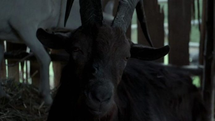 Final explicado de A Bruxa (The Witch): a escolha de Thomasin no desfecho Final explicado de A Bruxa.