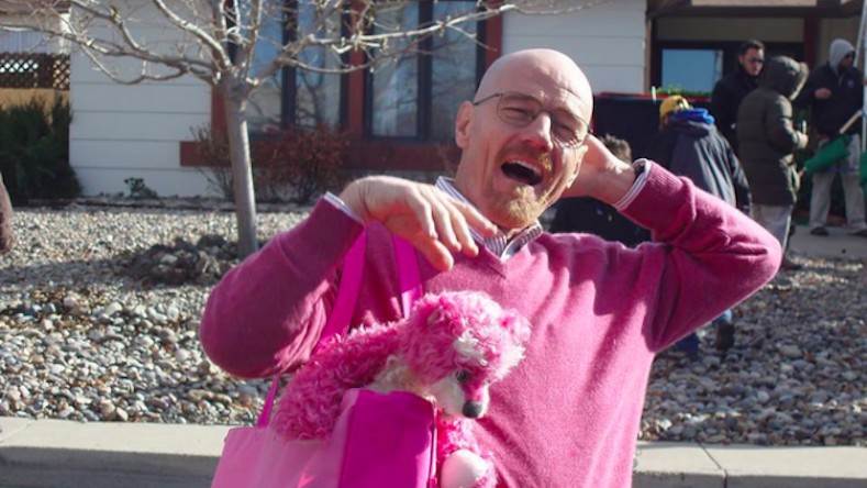 Resumo da 2ª temporada de Breaking Bad: A ascensão de Heisenberg O urso de pelúcia rosa.